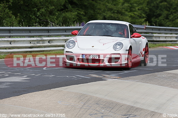 Bild #317765 - Touristenfahrten Nürburgring Nordschleife (2013-06-16)