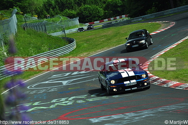 Bild #318853 - Touristenfahrten Nürburgring Nordschleife (2013-06-16)