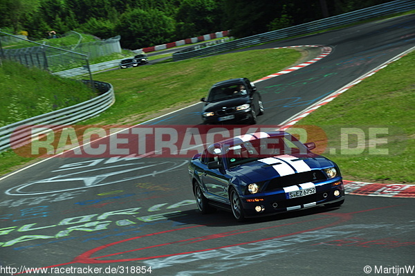 Bild #318854 - Touristenfahrten Nürburgring Nordschleife (2013-06-16)