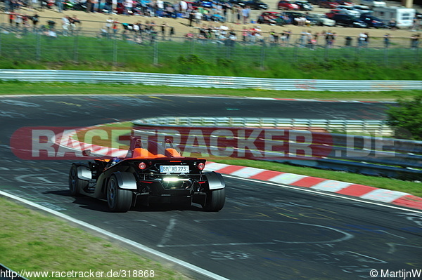 Bild #318868 - Touristenfahrten Nürburgring Nordschleife (2013-06-16)