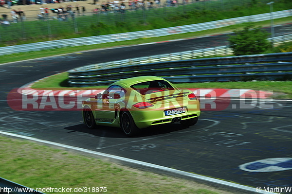 Bild #318875 - Touristenfahrten Nürburgring Nordschleife (2013-06-16)