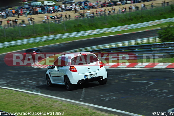 Bild #318893 - Touristenfahrten Nürburgring Nordschleife (2013-06-16)