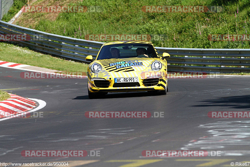 Bild #950004 - Touristenfahrten Nürburgring Nordschleife 14.06.2015