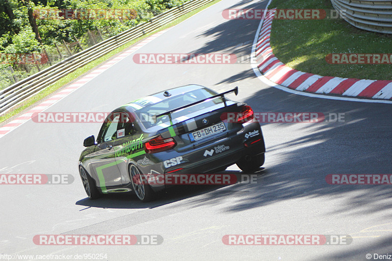 Bild #950254 - Touristenfahrten Nürburgring Nordschleife 14.06.2015