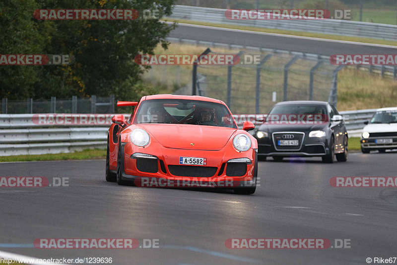 Bild #1239636 - Touristenfahrten Nürburgring Nordschleife 10.10.2015