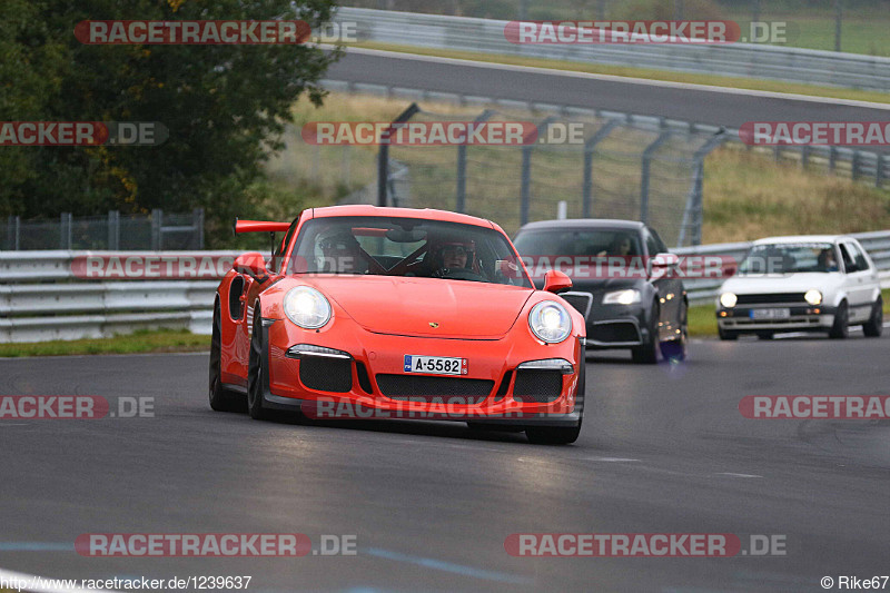 Bild #1239637 - Touristenfahrten Nürburgring Nordschleife 10.10.2015