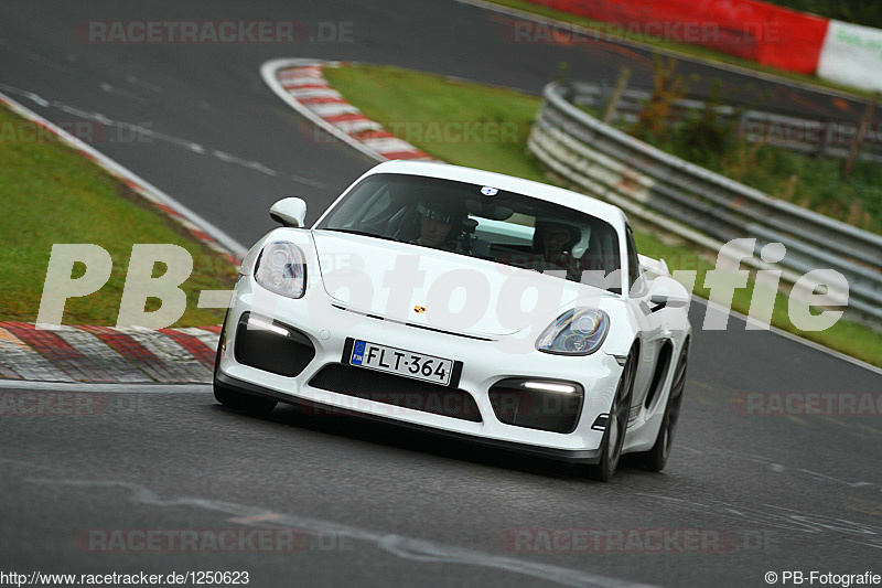 Bild #1250623 - Touristenfahrten Nürburgring Nordschleife 10.10.2015