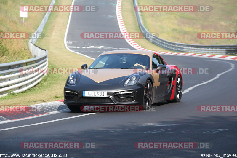 Bild #3125580 - Touristenfahrten Nürburgring Nordschleife 09.07.2017