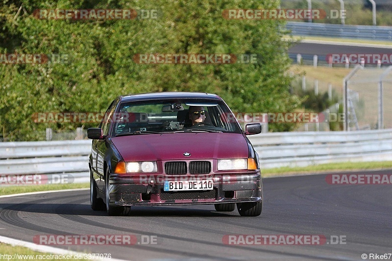 Bild #3377076 - Touristenfahrten Nürburgring Nordschleife 14.08.2017