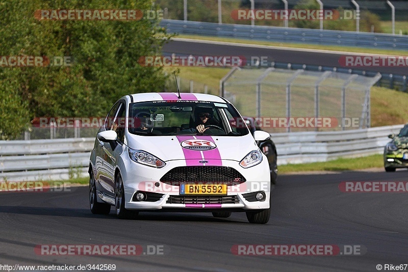 Bild #3442569 - Touristenfahrten Nürburgring Nordschleife 23.08.2017