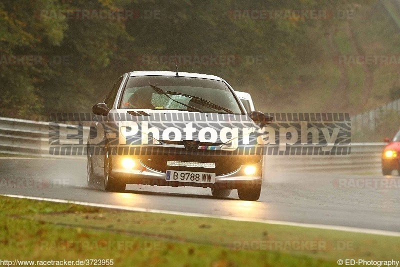 Bild #3723955 - Touristenfahrten Nürburgring Nordschleife 08.10.2017 