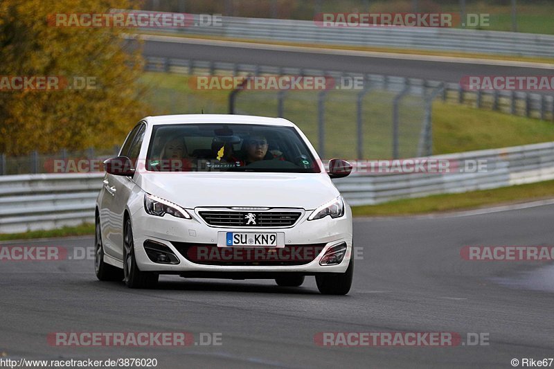 Bild #3876020 - Touristenfahrten Nürburgring Nordschleife 19.11.2017