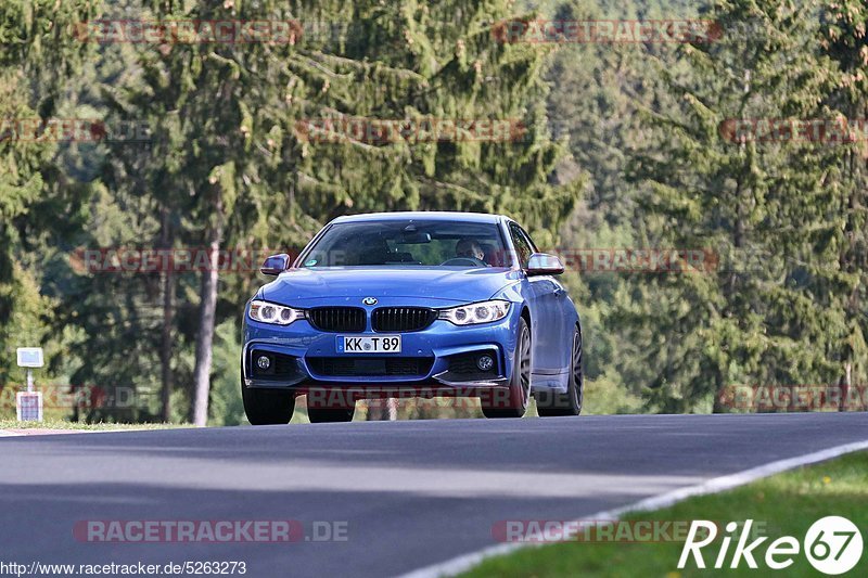 Bild #5263273 - Touristenfahrten Nürburgring Nordschleife 09.09.2018