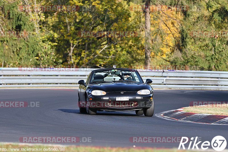 Bild #5560788 - Touristenfahrten Nürburgring Nordschleife 03.11.2018