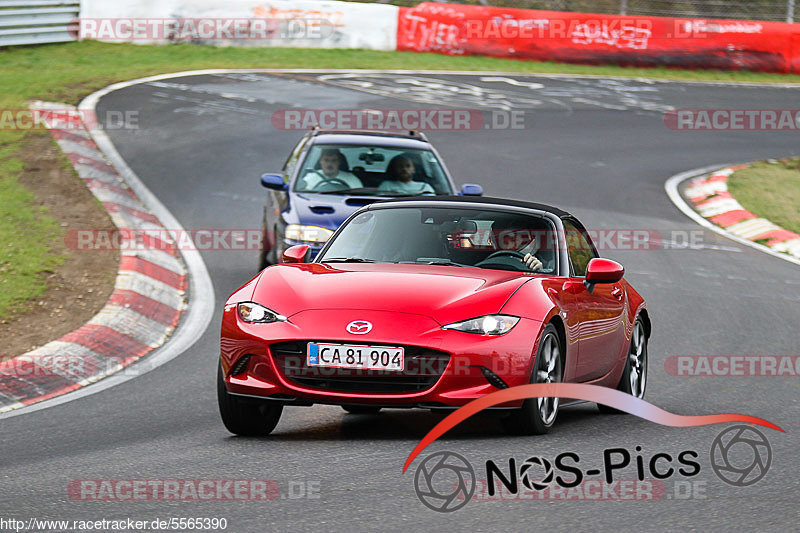 Bild #5565390 - Touristenfahrten Nürburgring Nordschleife 04.11.2018