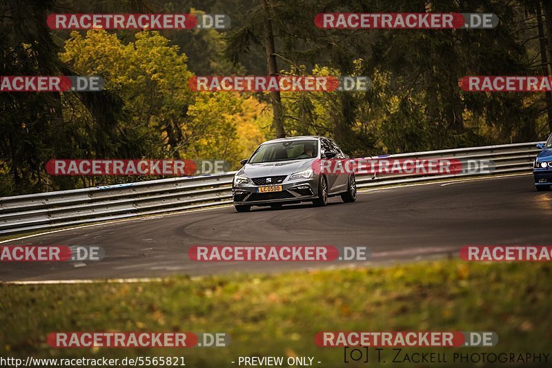 Bild #5565821 - Touristenfahrten Nürburgring Nordschleife 04.11.2018