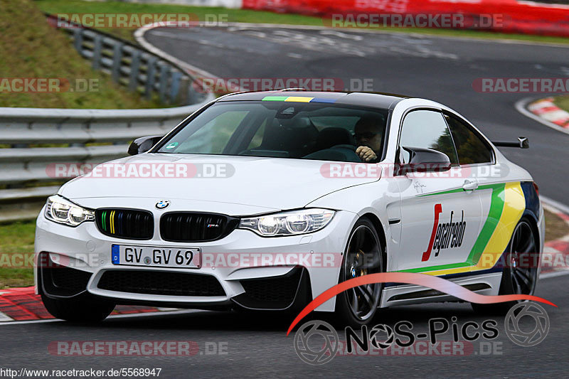 Bild #5568947 - Touristenfahrten Nürburgring Nordschleife 04.11.2018