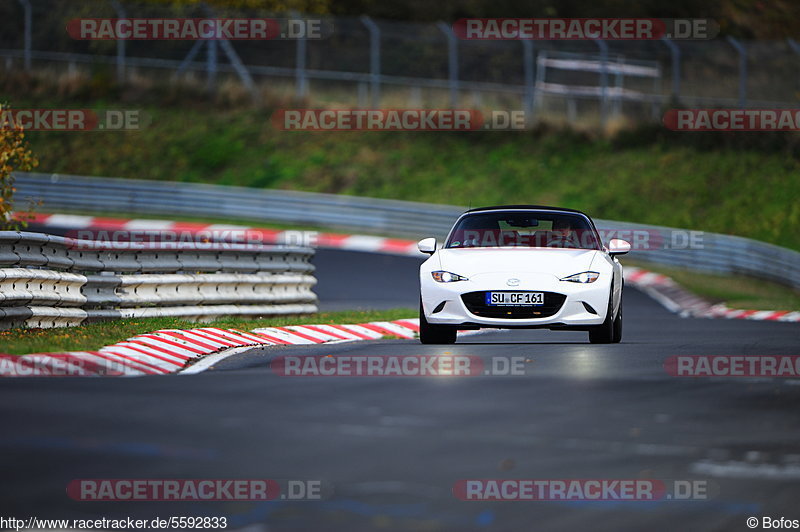 Bild #5592833 - Touristenfahrten Nürburgring Nordschleife 11.11.2018