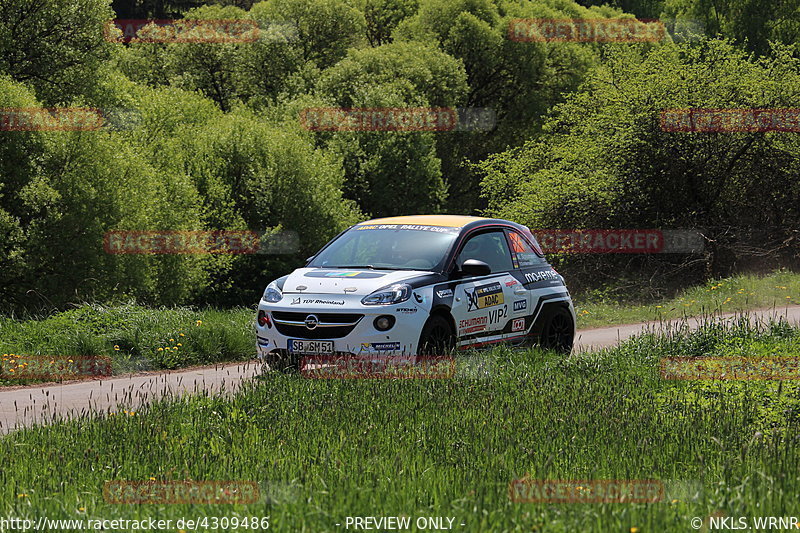 Bild #4309486 - Birkenfelder Löwenrallye 2018