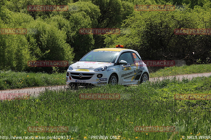 Bild #4309537 - Birkenfelder Löwenrallye 2018