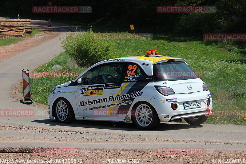 Bild #4309572 - Birkenfelder Löwenrallye 2018