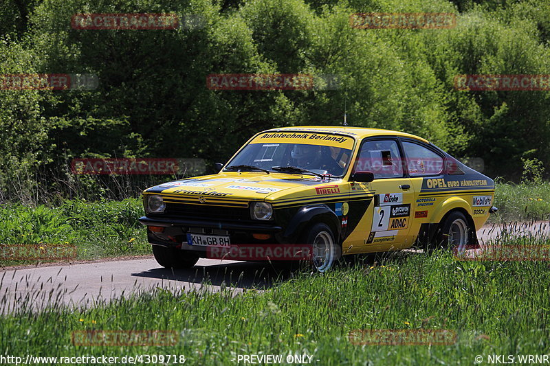 Bild #4309718 - Birkenfelder Löwenrallye 2018