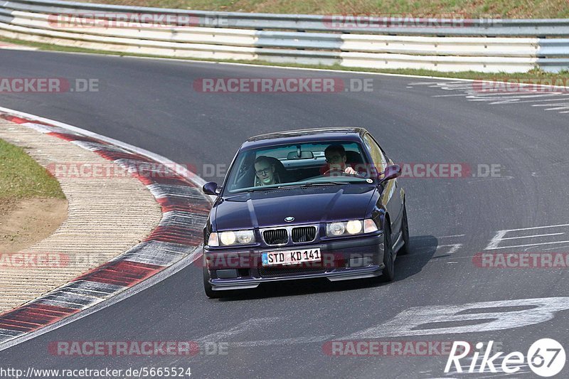 Bild #5665524 - Touristenfahrten Nürburgring Nordschleife (24.03.2019)