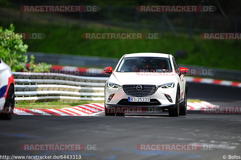 Bild #6443313 - Touristenfahrten Nürburgring Nordschleife (08.06.2019)