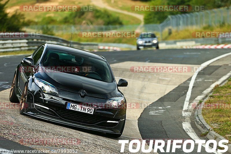 Bild #7993052 - Touristenfahrten Nürburgring Nordschleife (01.08.2019)