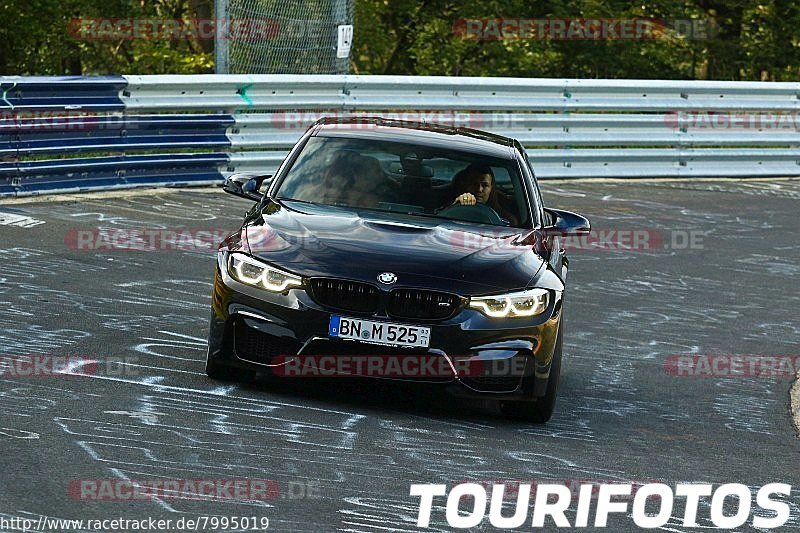 Bild #7995019 - Touristenfahrten Nürburgring Nordschleife (01.08.2019)