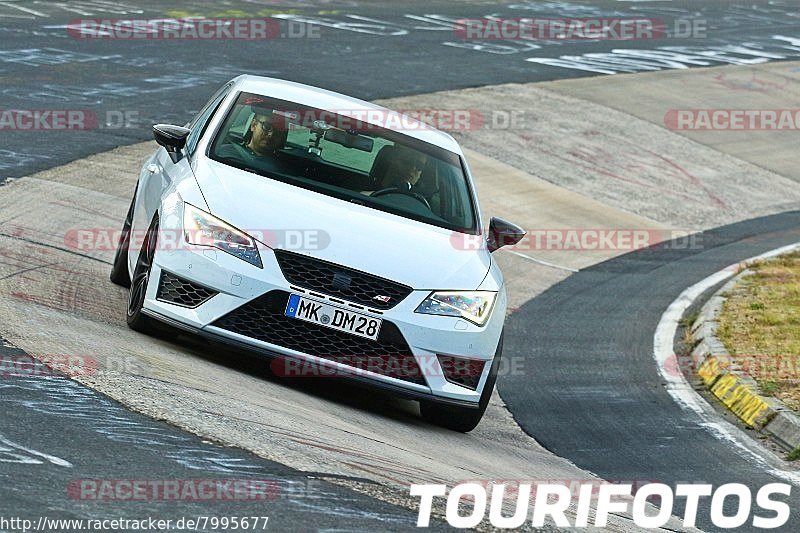 Bild #7995677 - Touristenfahrten Nürburgring Nordschleife (01.08.2019)