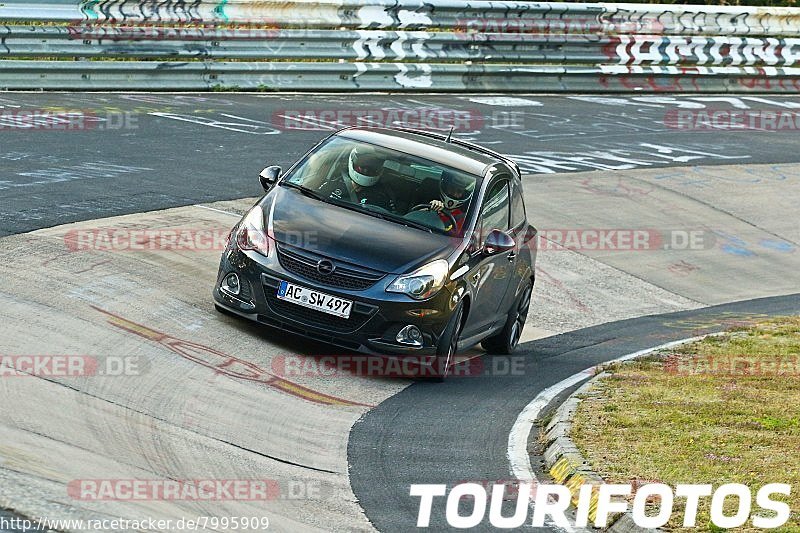 Bild #7995909 - Touristenfahrten Nürburgring Nordschleife (01.08.2019)