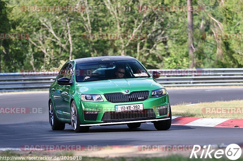 Bild #7025018 - Touristenfahrten Nürburgring Nordschleife (04.08.2019)