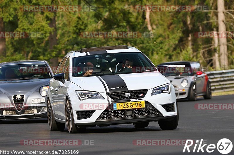 Bild #7025169 - Touristenfahrten Nürburgring Nordschleife (04.08.2019)