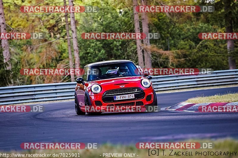 Bild #7025901 - Touristenfahrten Nürburgring Nordschleife (04.08.2019)