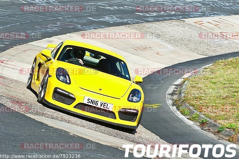 Bild #7923236 - Touristenfahrten Nürburgring Nordschleife (04.08.2019)