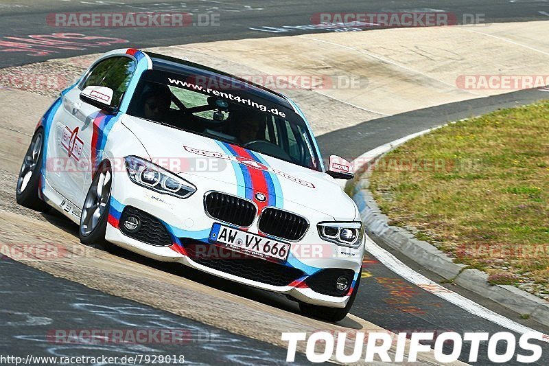 Bild #7929018 - Touristenfahrten Nürburgring Nordschleife (04.08.2019)