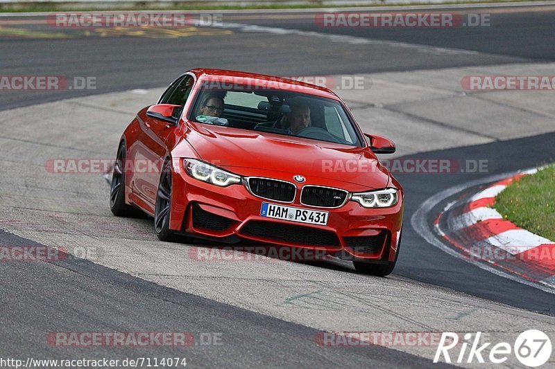 Bild #7114074 - Touristenfahrten Nürburgring Nordschleife (11.08.2019)