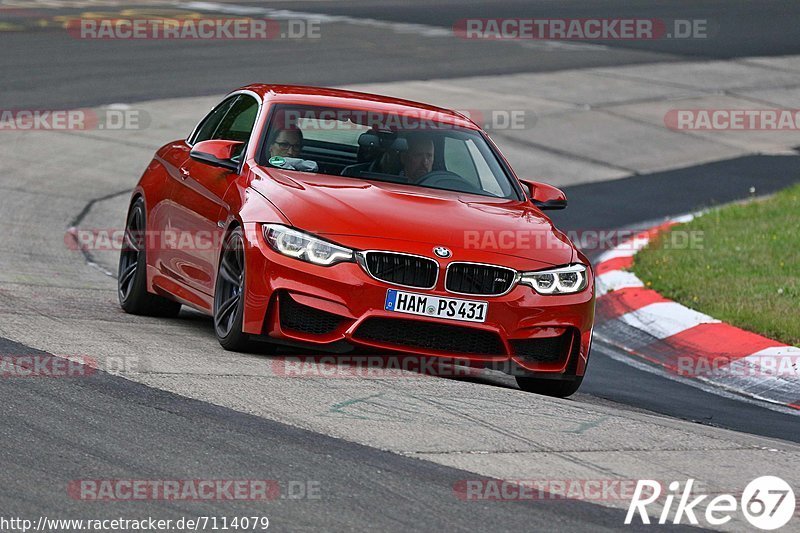 Bild #7114079 - Touristenfahrten Nürburgring Nordschleife (11.08.2019)