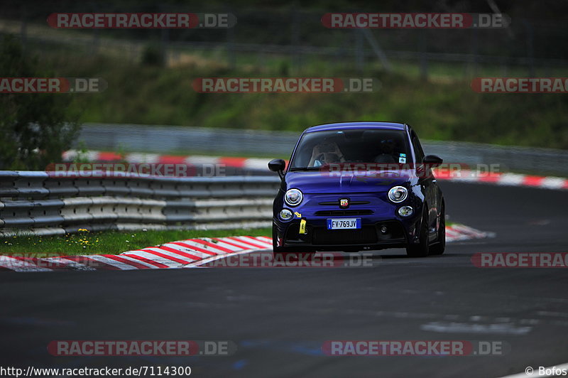 Bild #7114300 - Touristenfahrten Nürburgring Nordschleife (11.08.2019)