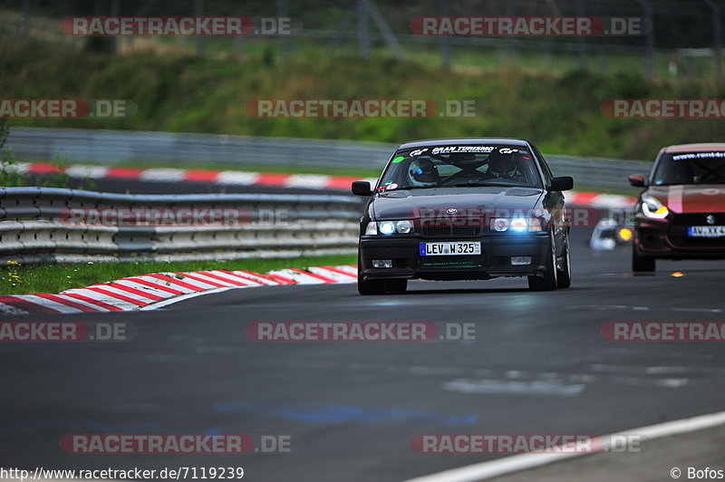 Bild #7119239 - Touristenfahrten Nürburgring Nordschleife (11.08.2019)