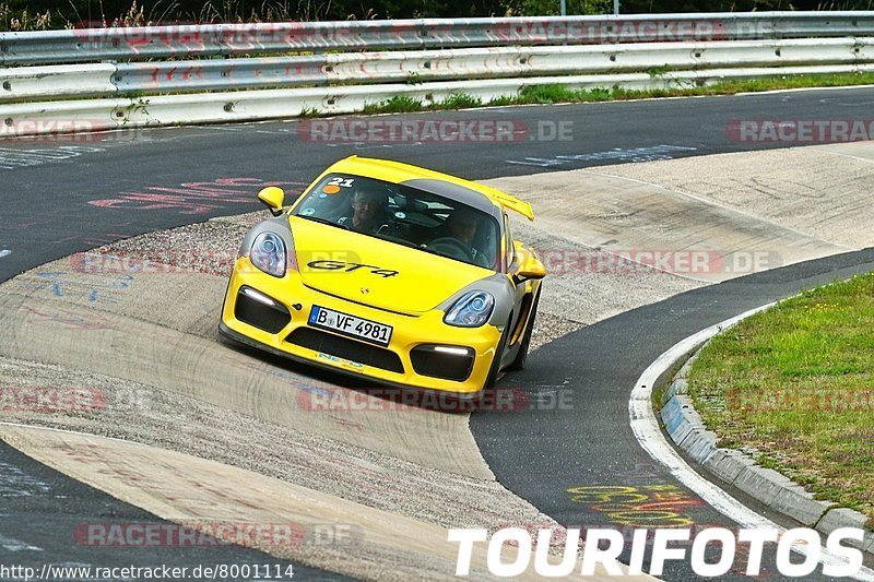 Bild #8001114 - Touristenfahrten Nürburgring Nordschleife (11.08.2019)