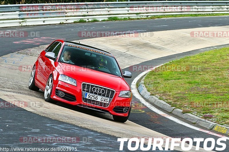 Bild #8003975 - Touristenfahrten Nürburgring Nordschleife (11.08.2019)