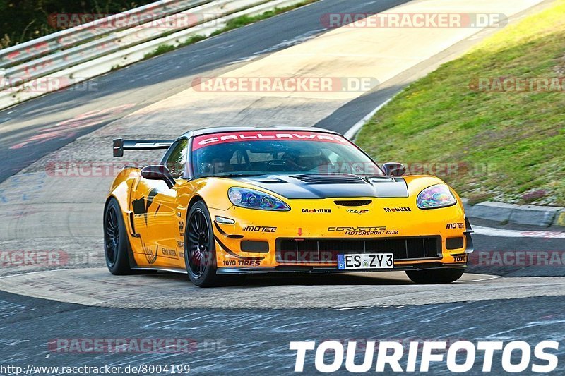 Bild #8004199 - Touristenfahrten Nürburgring Nordschleife (11.08.2019)