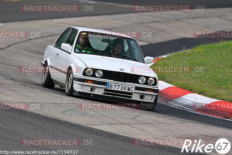 Bild #7134737 - Touristenfahrten Nürburgring Nordschleife (12.08.2019)