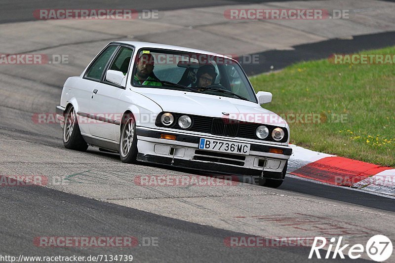 Bild #7134739 - Touristenfahrten Nürburgring Nordschleife (12.08.2019)