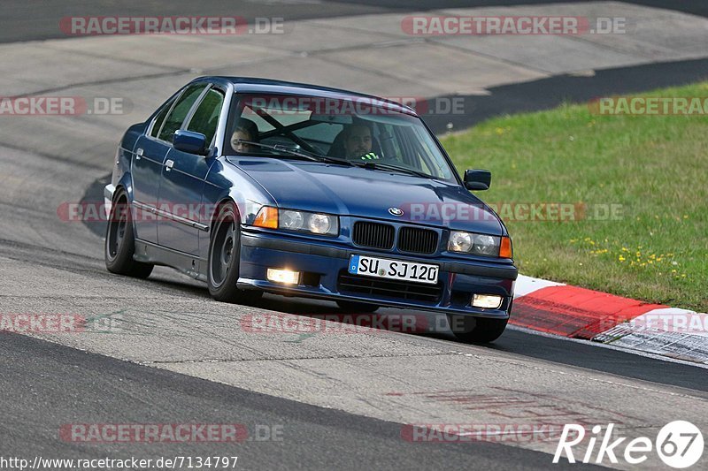 Bild #7134797 - Touristenfahrten Nürburgring Nordschleife (12.08.2019)