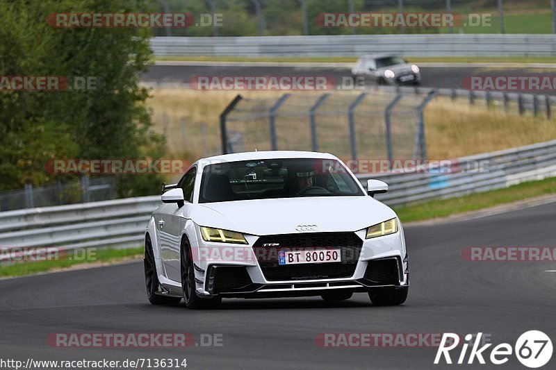 Bild #7136314 - Touristenfahrten Nürburgring Nordschleife (12.08.2019)