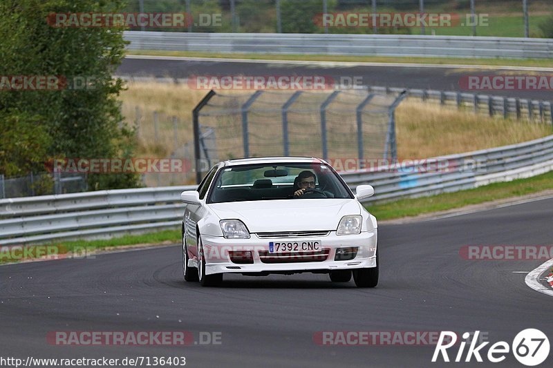 Bild #7136403 - Touristenfahrten Nürburgring Nordschleife (12.08.2019)