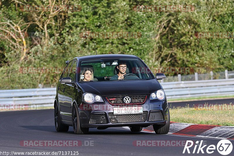 Bild #7137125 - Touristenfahrten Nürburgring Nordschleife (12.08.2019)